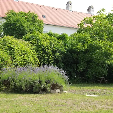 Wohnen Im Meierhof Apartment