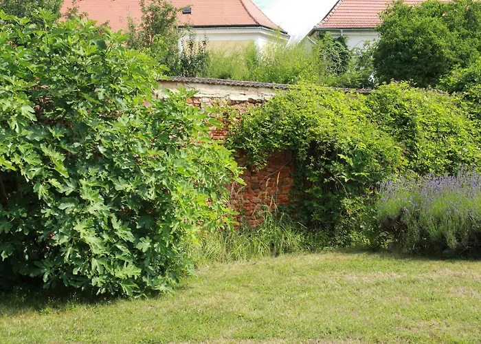 Apartment Wohnen Im Meierhof Hohenwarth